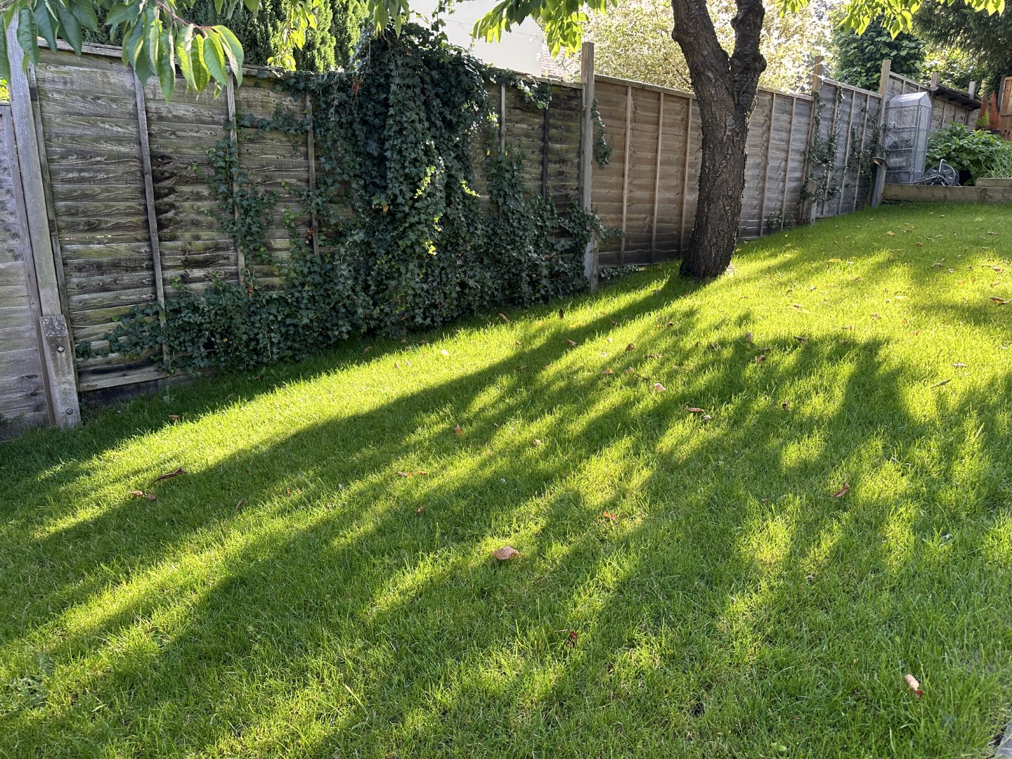 Cherry Cottage gallery photo 33